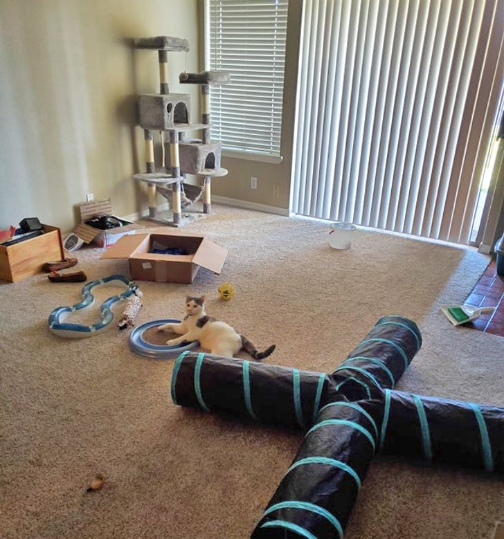 59945c5315b2c718b7fc889e8d