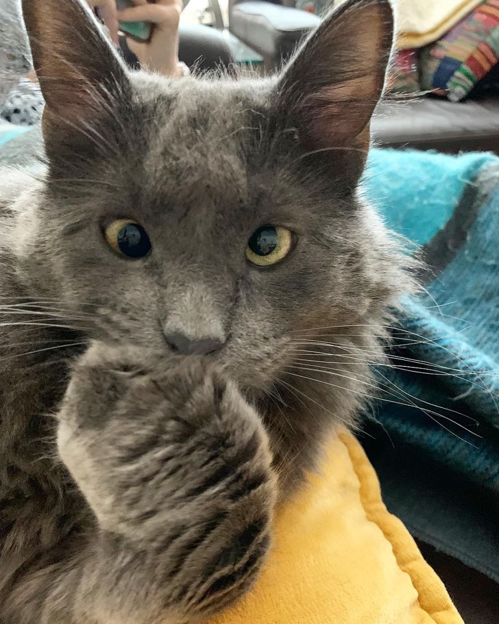 599c4c5103b04ef489d9e8aa1c