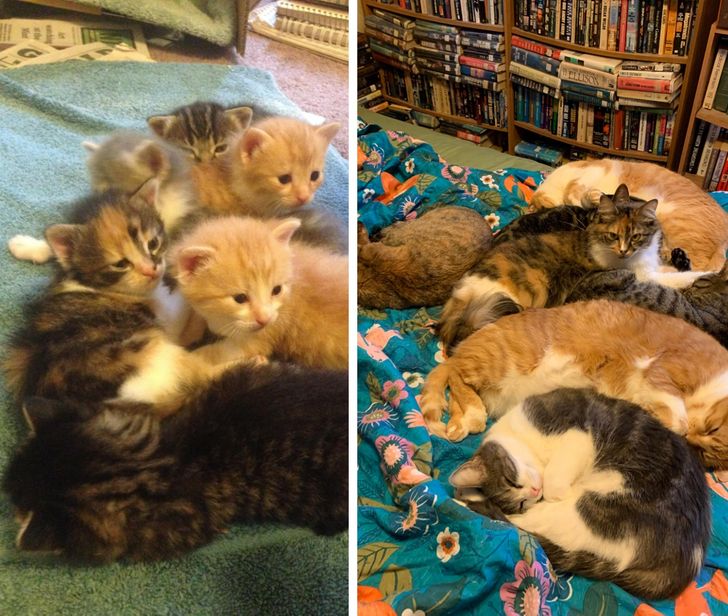 59a649533db1a86c1dee923d0f