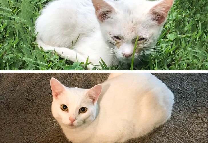 59a80c5bc49c950cc76068710b