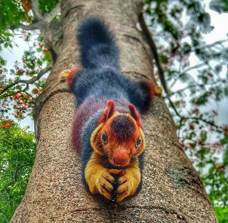 59ae61512896e330c4556d67cf