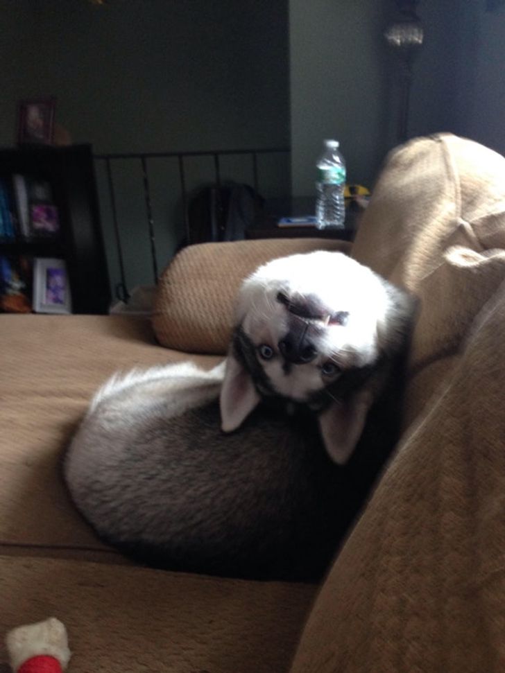 59af765c1fb00980bb8bedad37