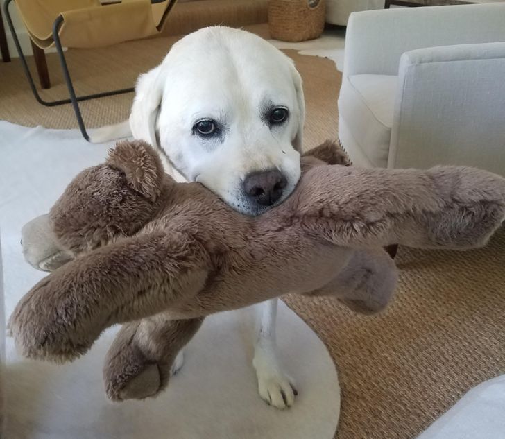 59b70e5fe88a371b70a195cdb7