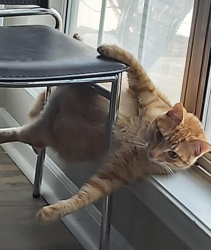 59b90954eab0e1be967f96cdda