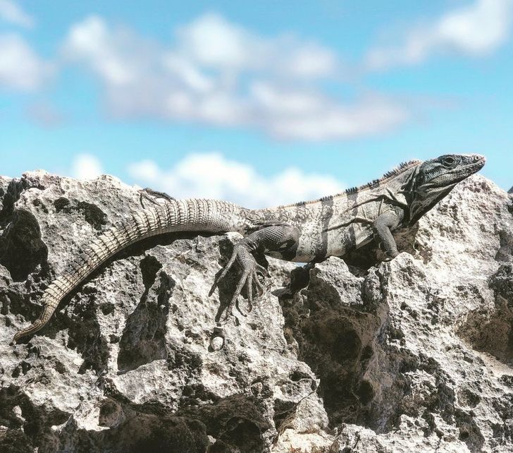 59c4db52ce97f2f7ce6aaa053d