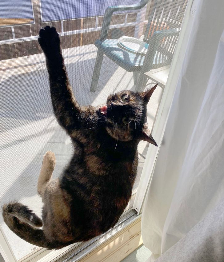 59d07355cba7f42716b410d0a2