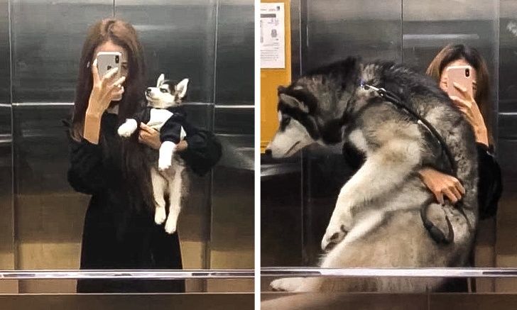 59e21859f385472b5c72431f85