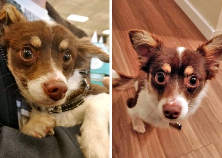 59e21d58b191a4b5011ecac8cf 59e21d58b191a4b5011ecac8cf