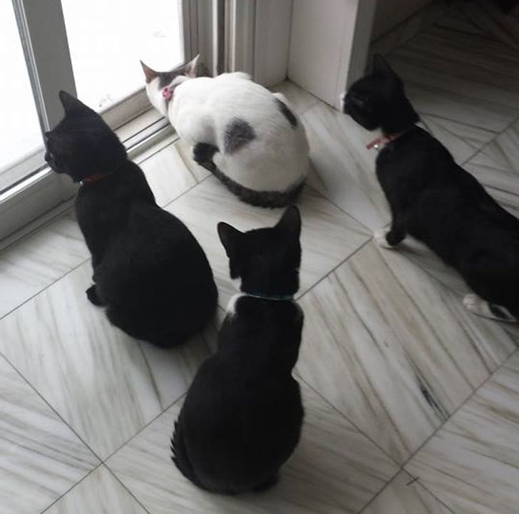 59e23e51568139c5e18d69eb06