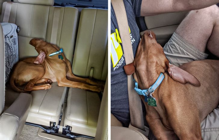 59e28b56d98805913a3d25e9cb