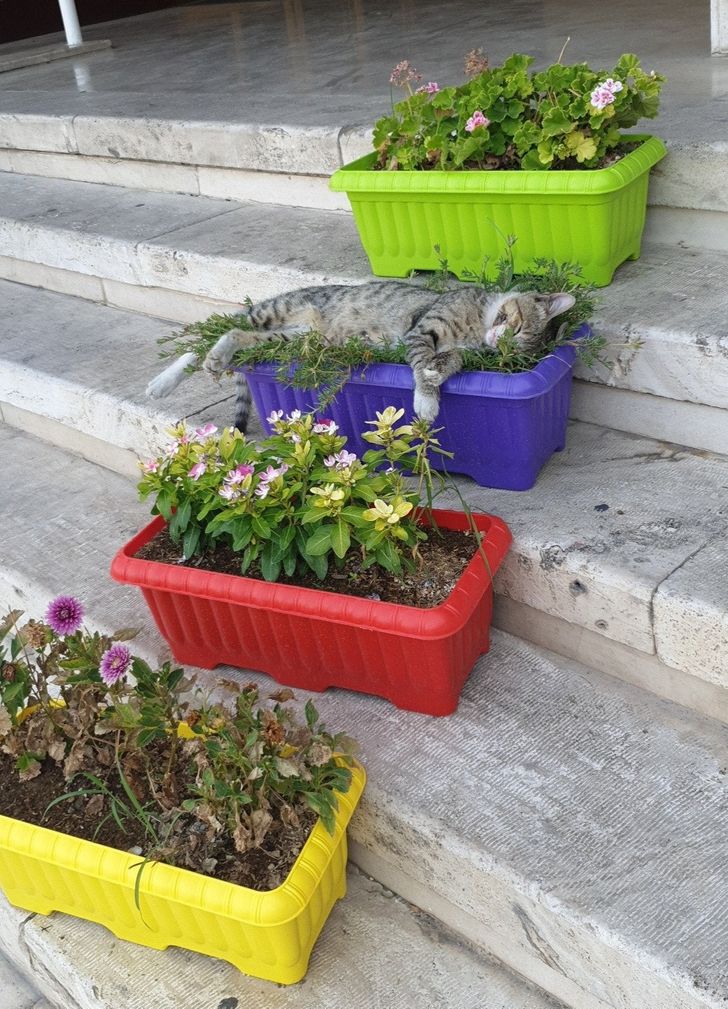 59e5fd5c08a2ed684c3641a806