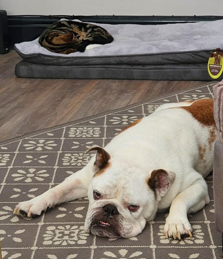 59ebe75d2fac806d03775c93cc