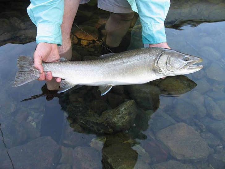 59f14052a5a6d6df3c04a34018