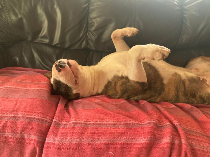 59f45857a886a3838f150d2fde