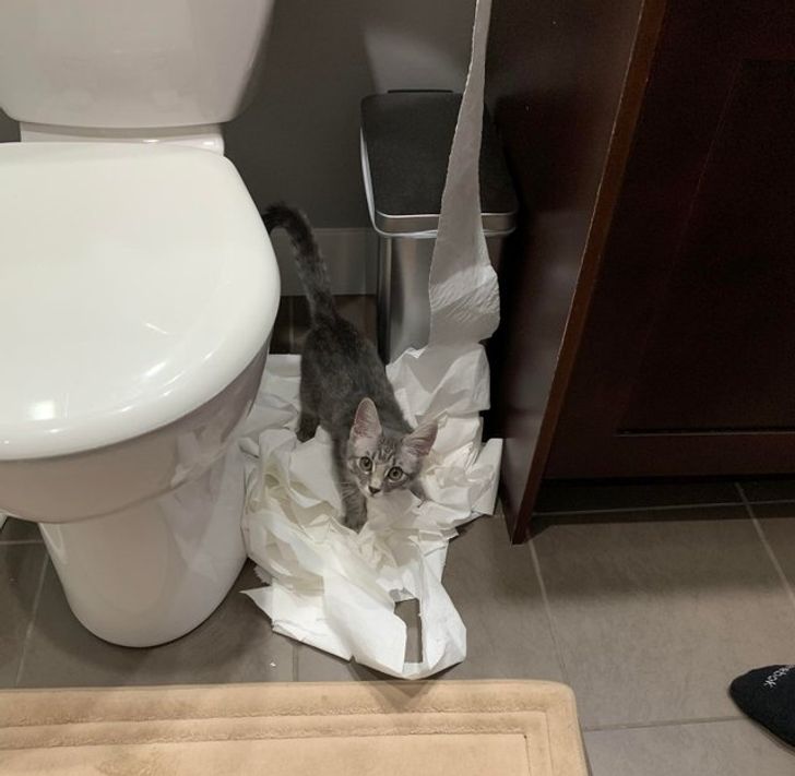 59f54b522482a165f986bbfc26