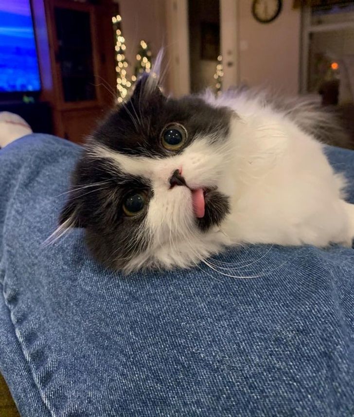 59fd645b7faa327ca20247dead