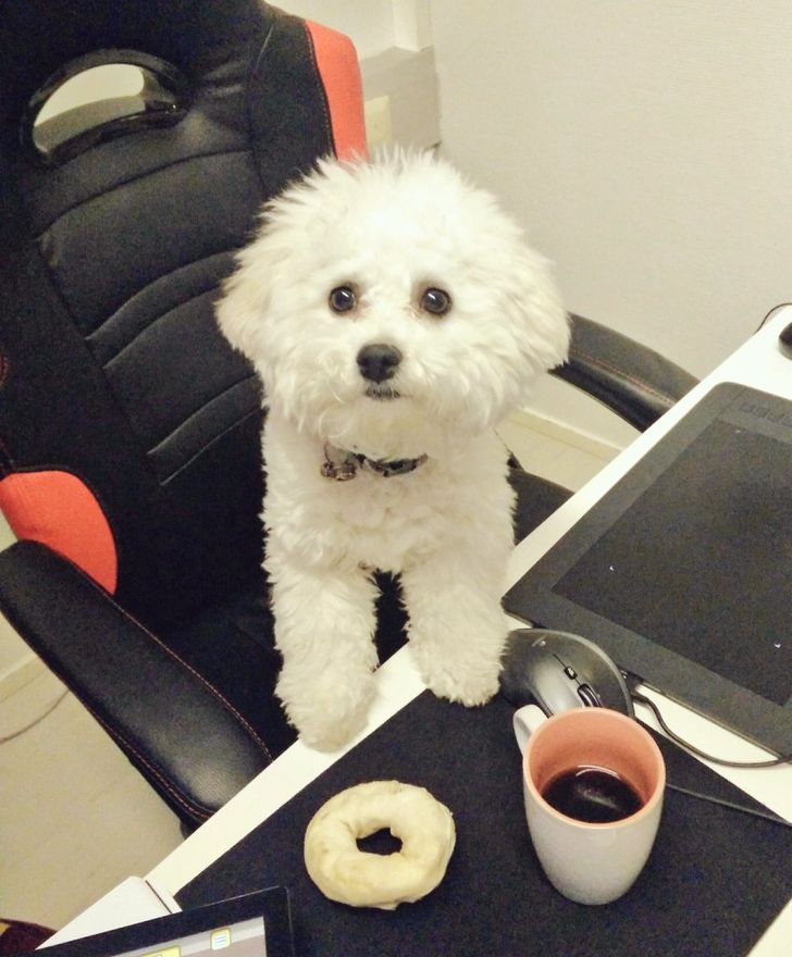 5a08e053e4855fec0c67b1324a