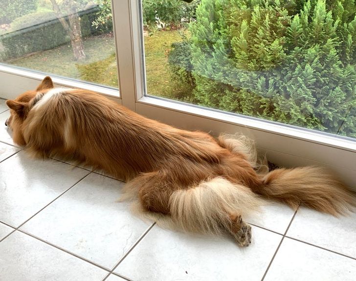 5a0c825f2894e447a265638735