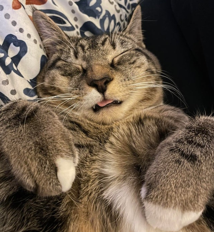 5a141a5316b2a2484f78f1ab3f