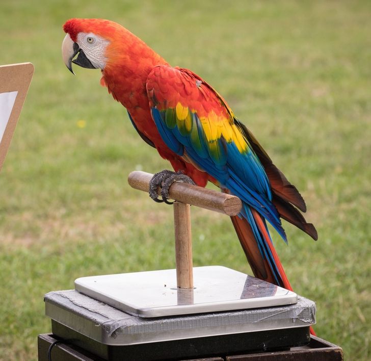 5a18075eeba66ad835614bc8cd