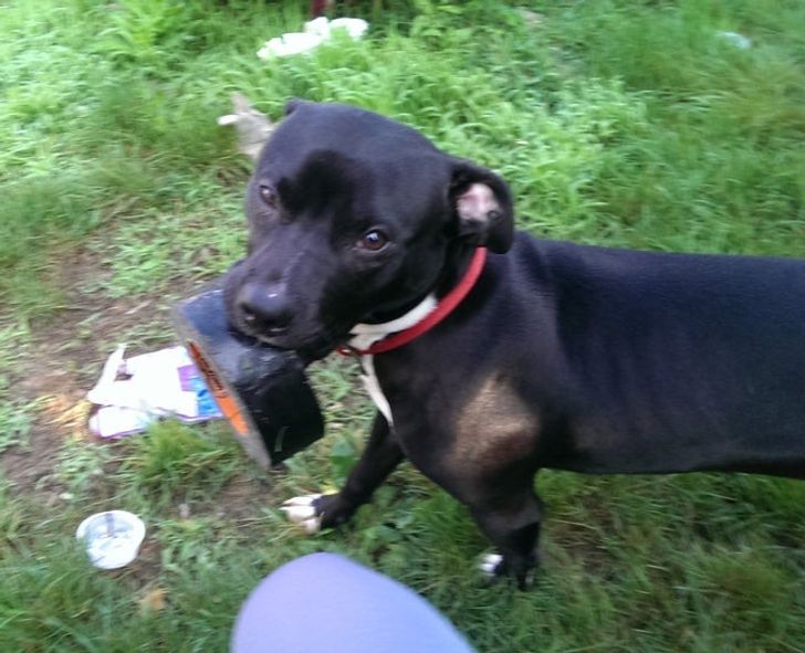 5a1adc5102b76ee5b590106e4e