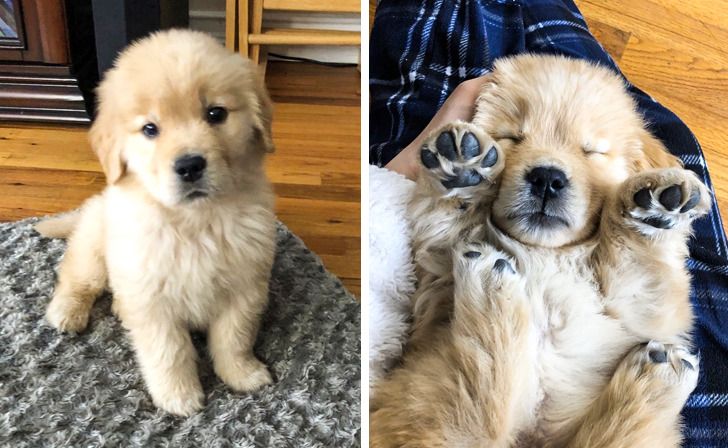 5a24be5a5489eda7d6822c6366