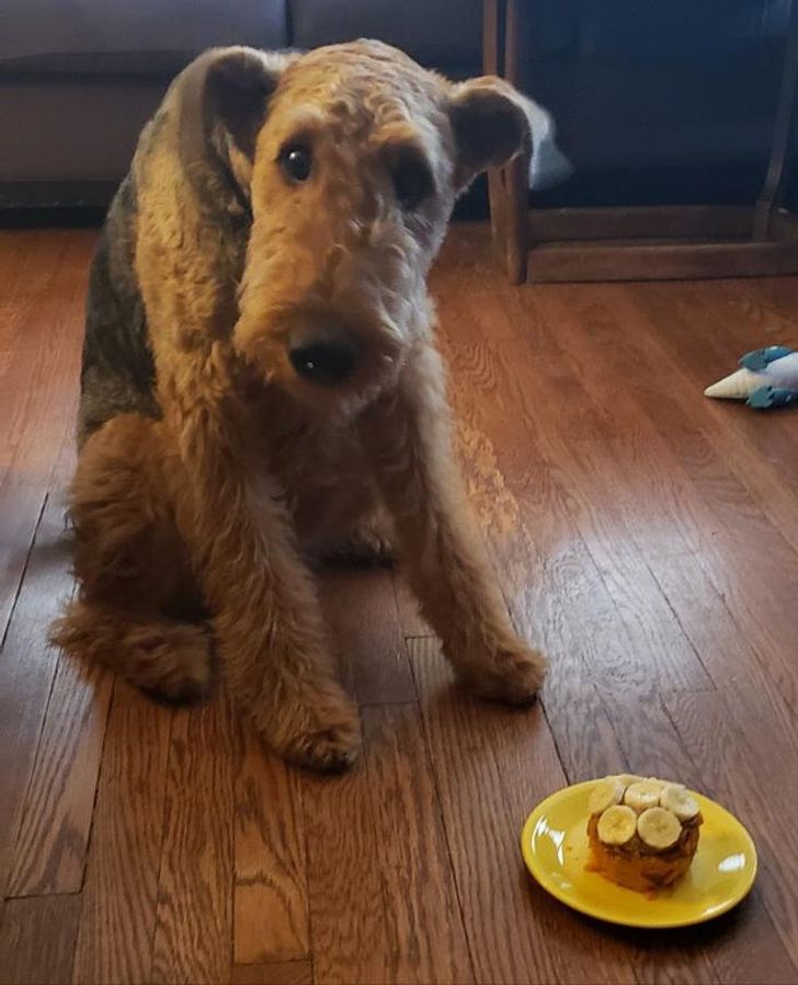 5a2555543cafd5e0edd18b389b