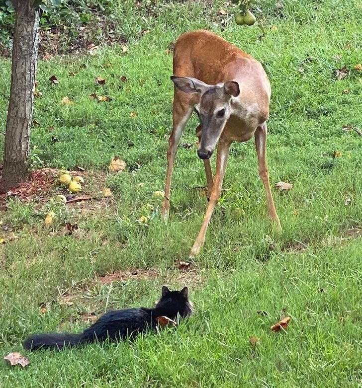 5a272152ef982af9ea4172765c