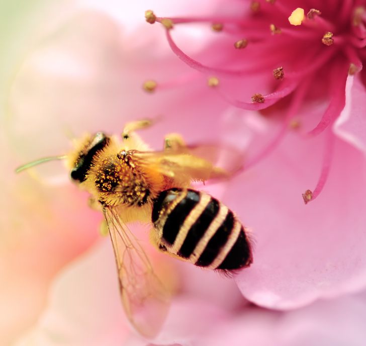 5a27d657168c57c0d12e491ea8