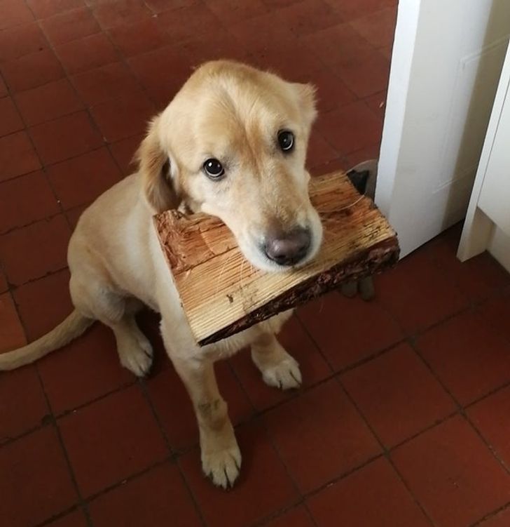 5a2b4b5051b741a4e551f59de1