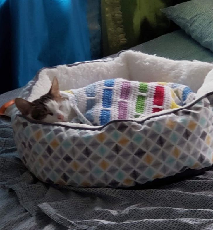 5a2deb5e499aea6ccb1de5a42d