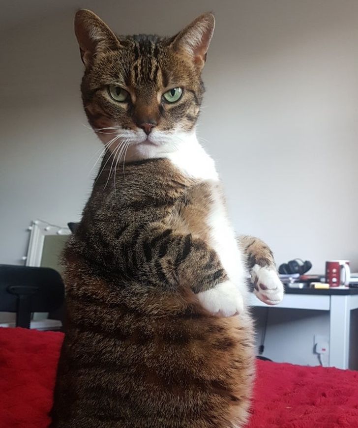 5a2edb5d7db30a046241036bf5