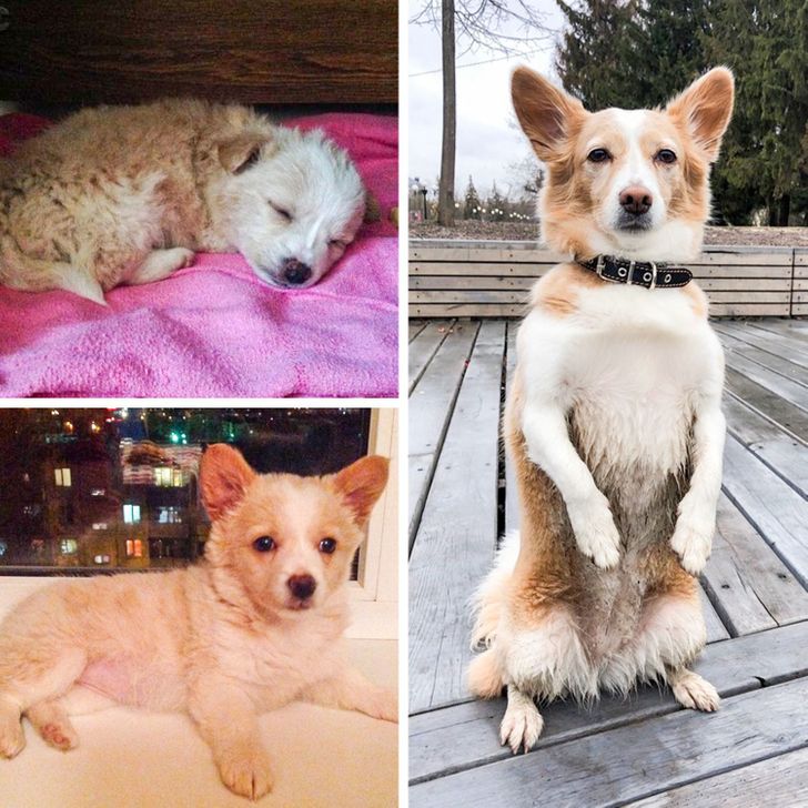 5a34d657938befdb7f87899afd