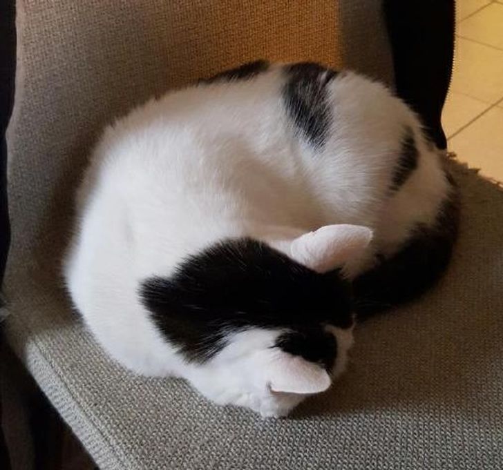 5a37b45cdc9e4109e8b487edd5