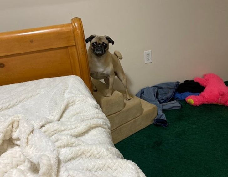 5a38df5d7e8afa40f7a9bff82e