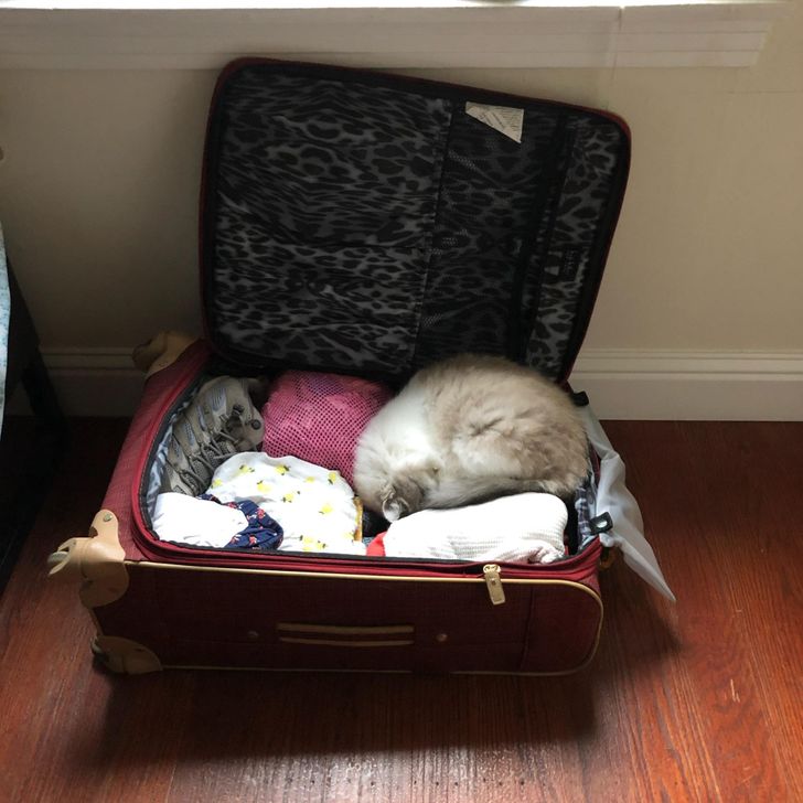 5a3b565ba2ac1997e2b12453eb