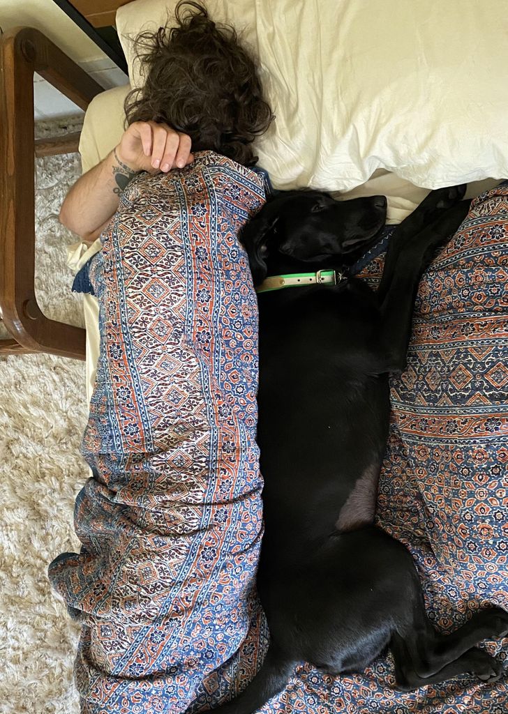 5a3de9500cad5b066d3fb4dc66