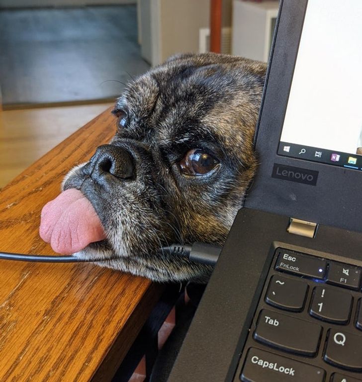 5a3f7553ceae14152313a77b3b