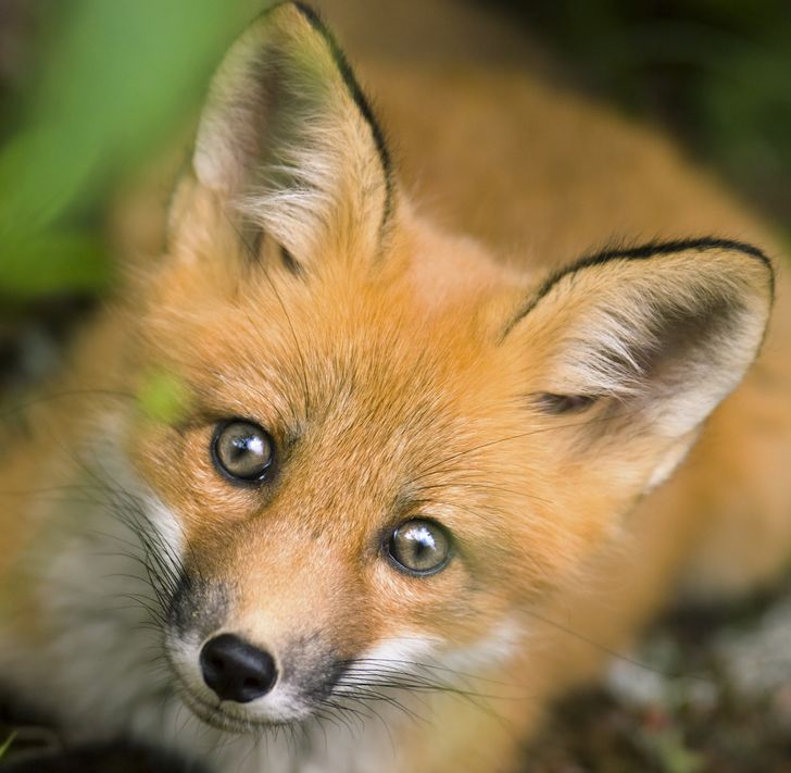 5a541c5659b5104e3021a4d3b1