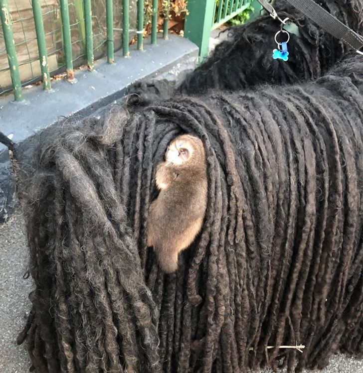 5a56f25a5885c6c56c9081b1a6