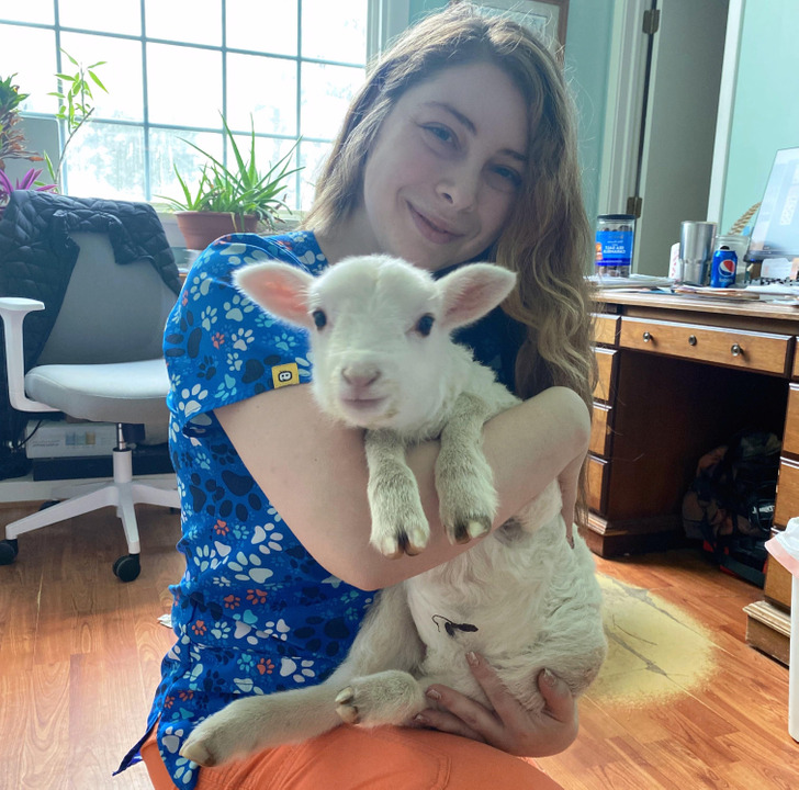 5a57c85431bae43ff7cd580be7