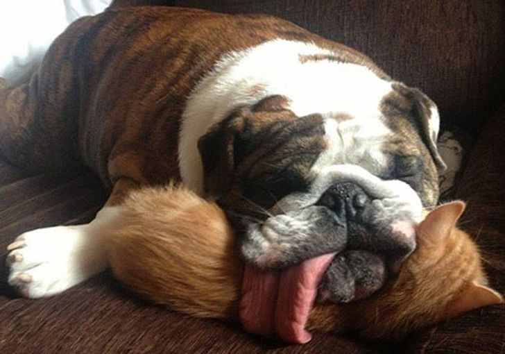 5a5cd151e6abef38aa786b2fbc