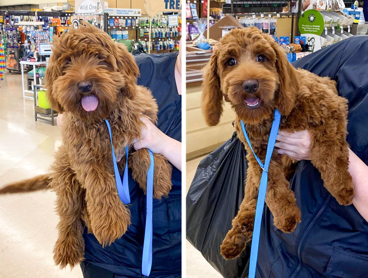 5a5e165354af5877cc328e7a67