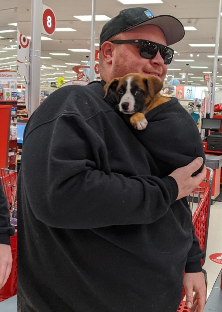 5a6c745c409433b52354988135