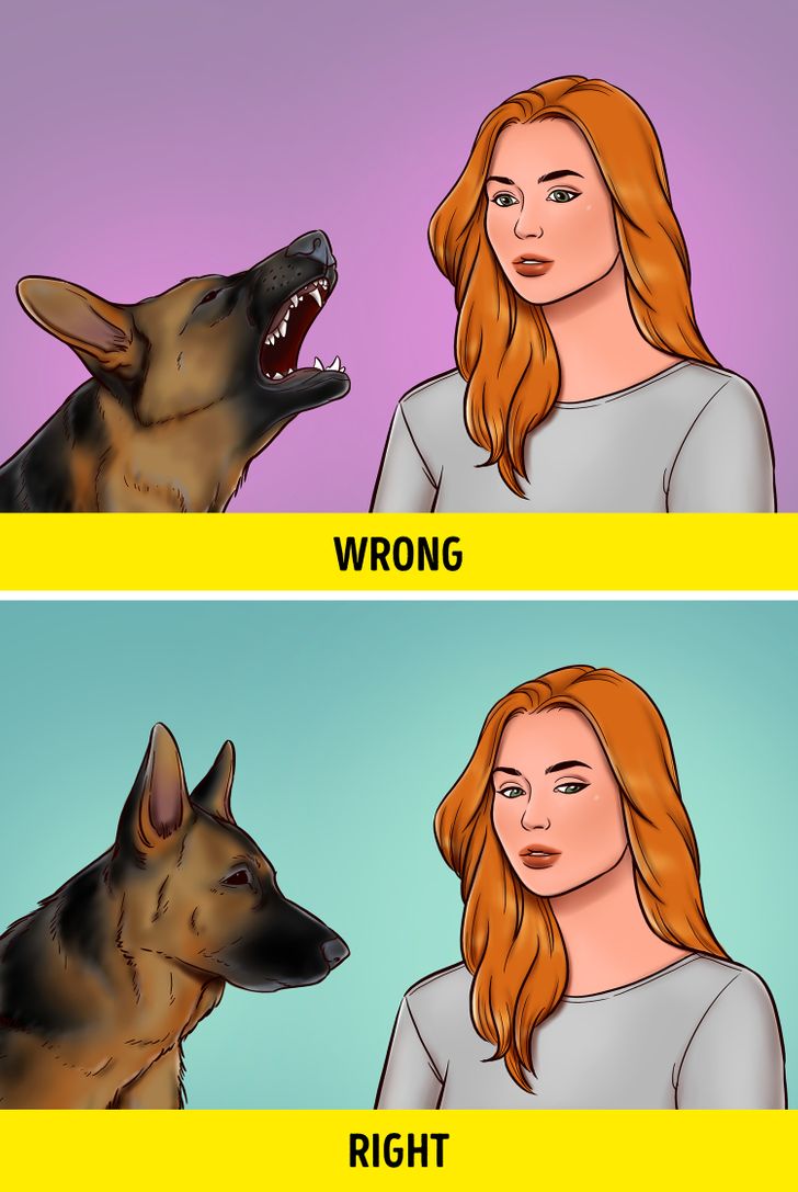 5a74515838af7eaa1d8db1ebf1