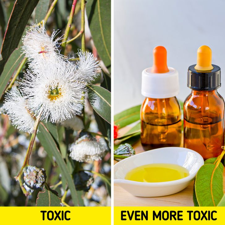 5a7fbf51f793da9bf0fb65f0b6