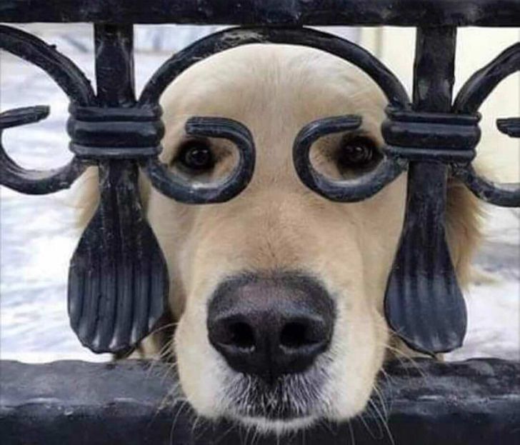 5a808c571f9cc15e110a02bd07