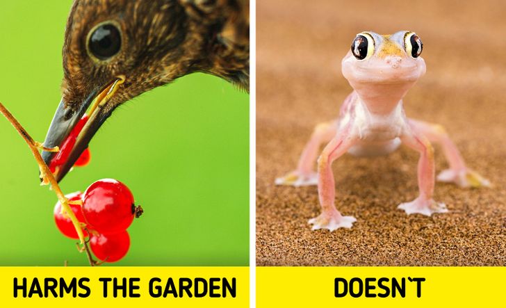 5a833d58e29838dc58d22e1796