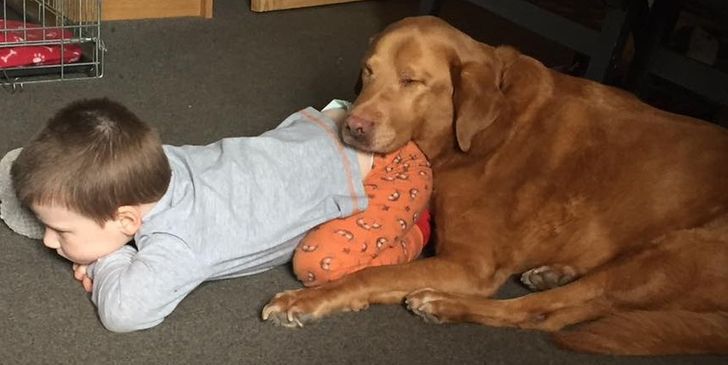 5a8d5553f9a2349e83110fee64