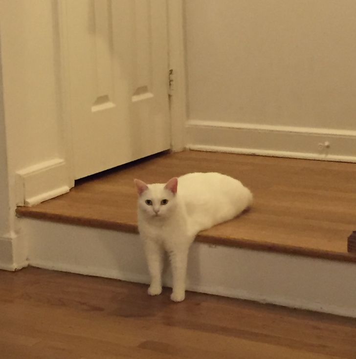 5a90ce5dd09122abb73bc9272e